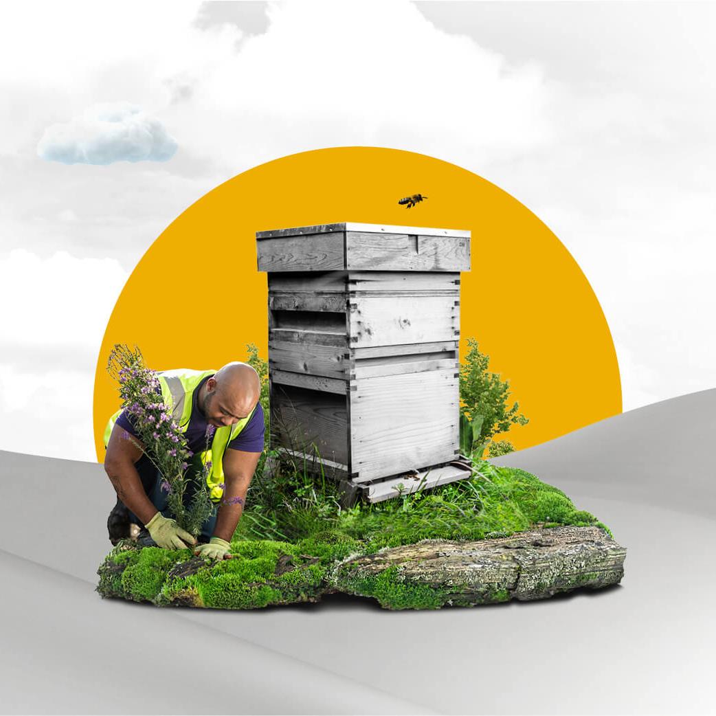 Mitie employee tending a garden next to a beehive, with a yellow sun behind